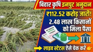 Read more about the article Krishi Input Anudan Yojana Status Check 2026: 112.52 करोड़ रुपये DBT ट्रांसफर जारी! अपने खाते का स्टेटस ऑनलाइन कैसे चेक करें
